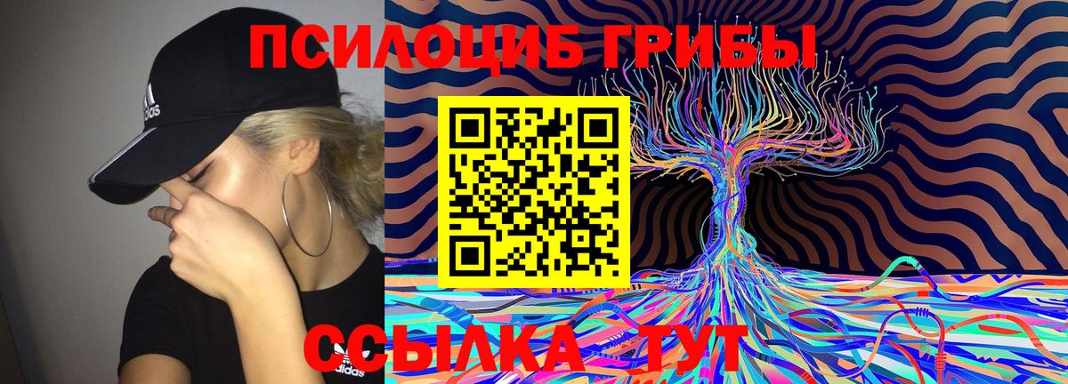 Галлюциногенные грибы MAGIC MUSHROOMS  Вход с VPN  Пермь 
